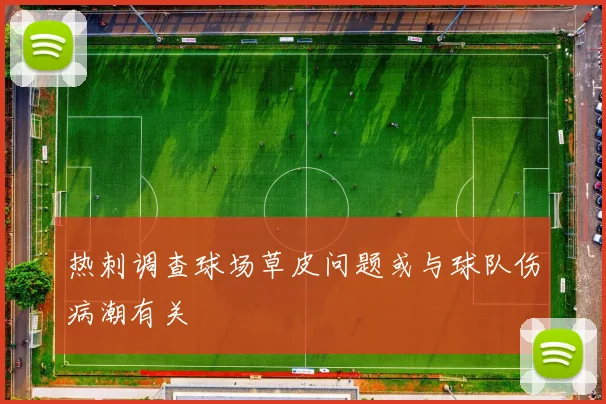 热刺调查球场草皮问题或与球队伤病潮有关